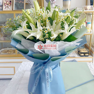 淮安8支白色多头百合洋甘菊，互倾的思念